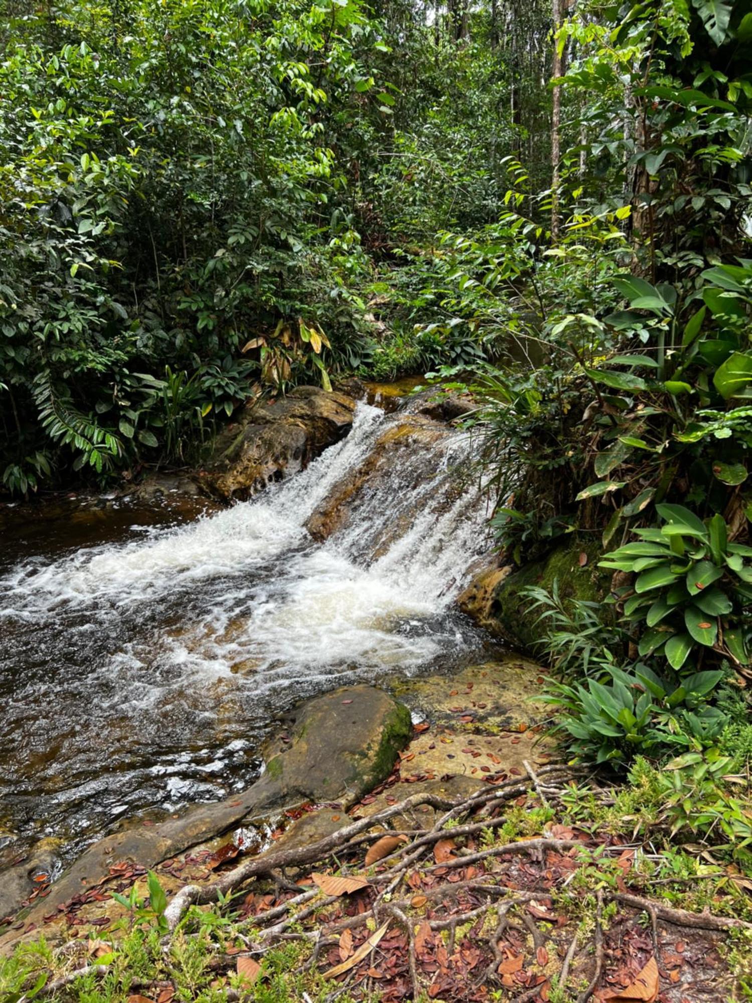 Pousada Paraiso Do Calango Azul Presidente Figueiredo Buitenkant foto