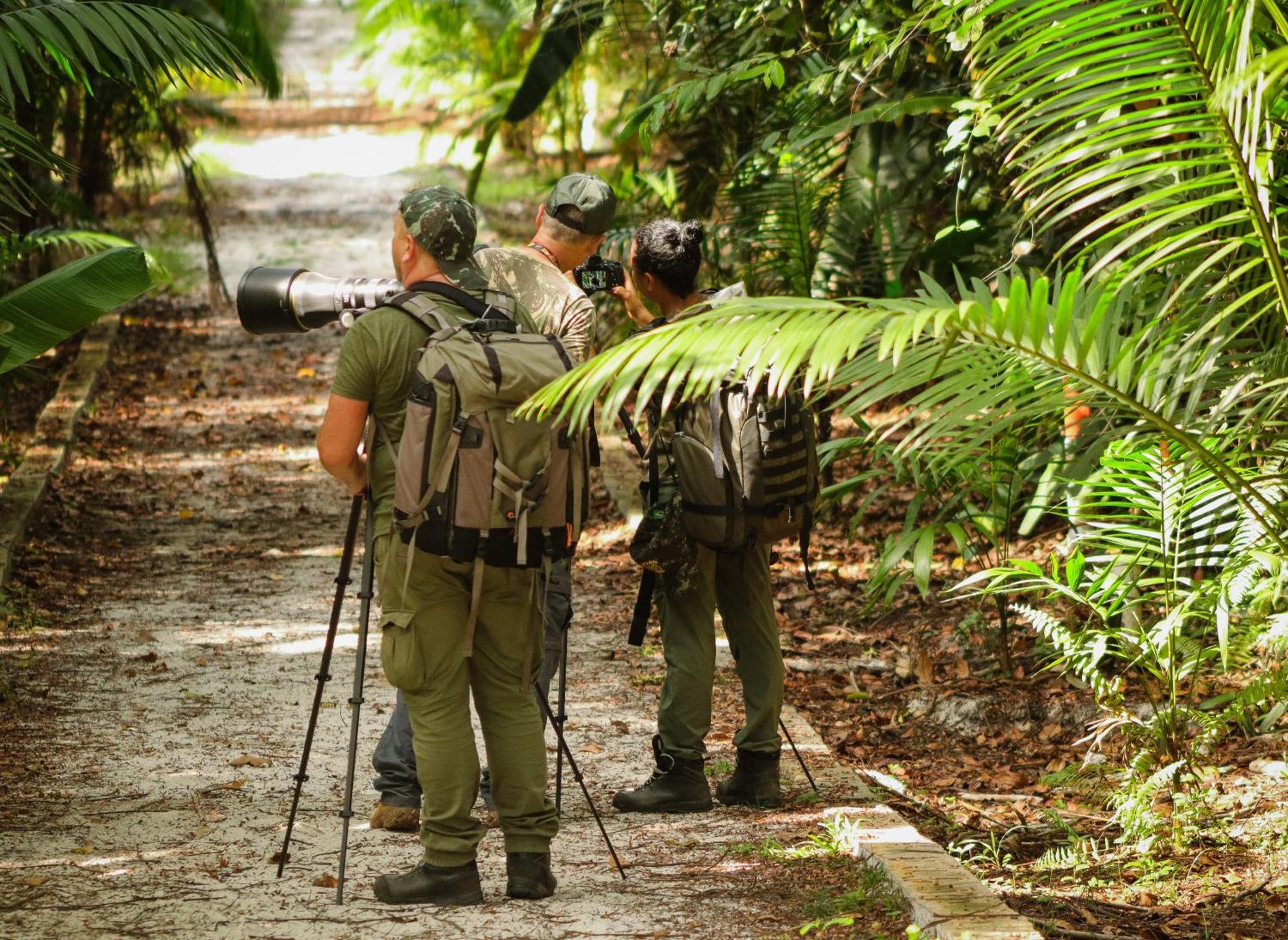 Pousada Paraiso Do Calango Azul Presidente Figueiredo Buitenkant foto