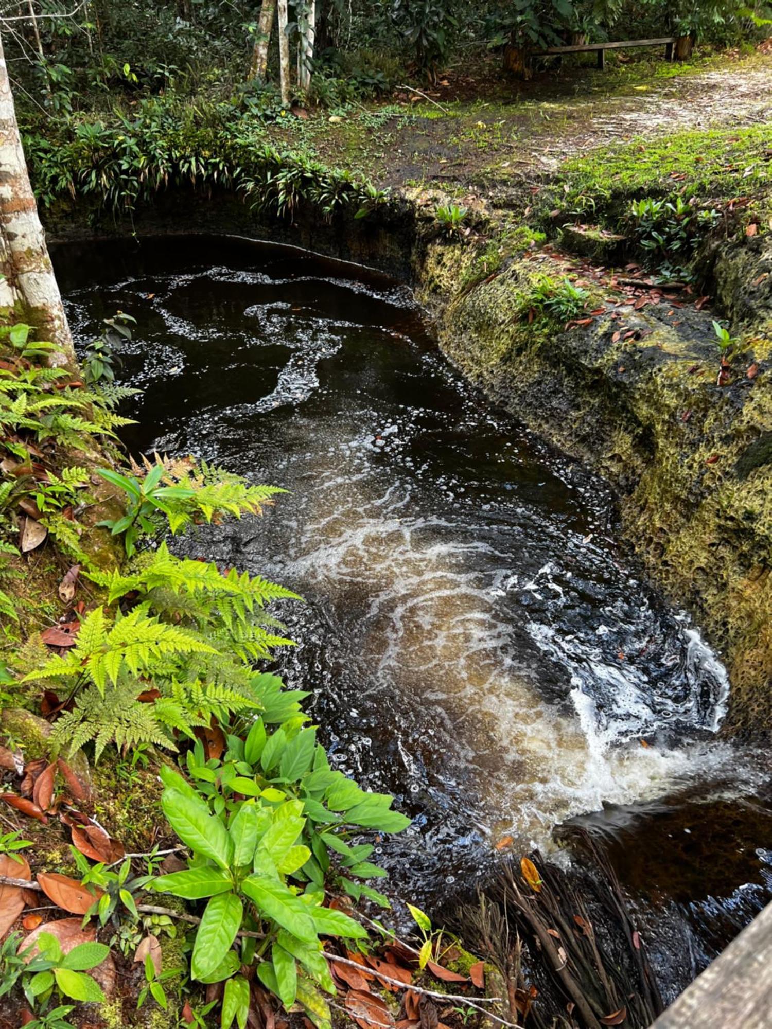 Pousada Paraiso Do Calango Azul Presidente Figueiredo Buitenkant foto