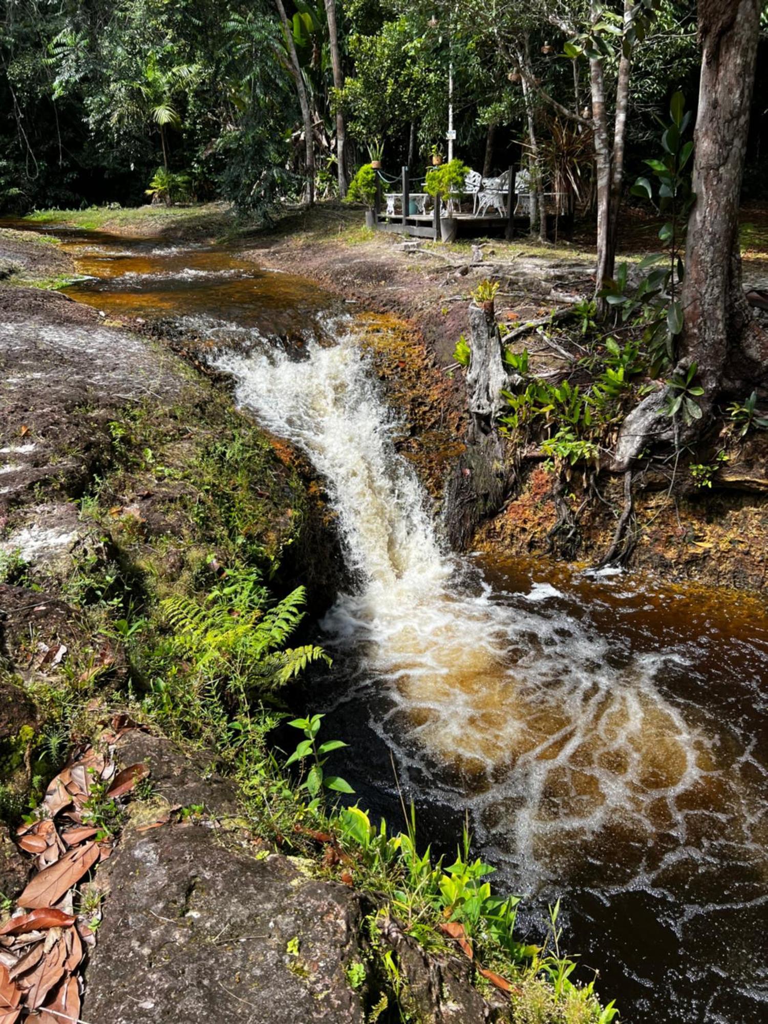 Pousada Paraiso Do Calango Azul Presidente Figueiredo Buitenkant foto