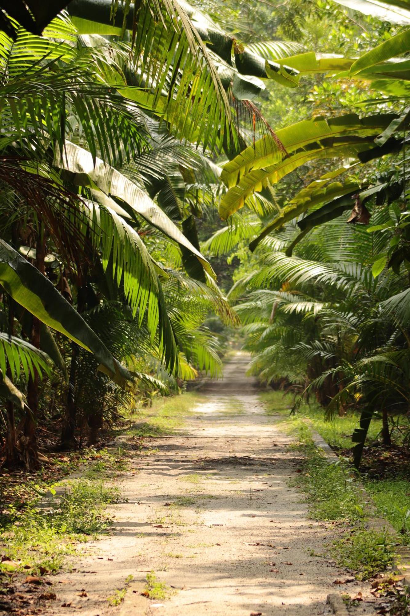 Pousada Paraiso Do Calango Azul Presidente Figueiredo Buitenkant foto