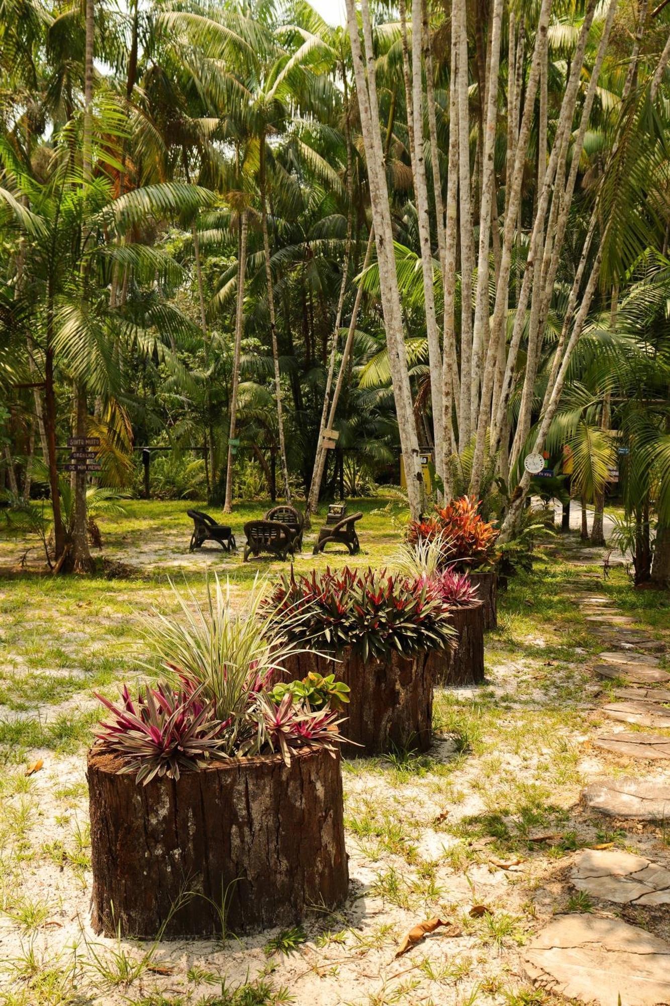 Pousada Paraiso Do Calango Azul Presidente Figueiredo Buitenkant foto